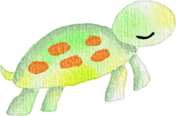 Watercolor Turtle Illustration