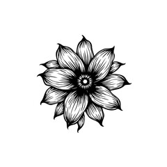 Obraz premium Elegant black and white flower illustration showcasing intricate floral design and delicate botanical art with detailed petals