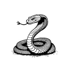 Illustration of a coiled snake with its tongue sticking out evoking danger and mystery in vector format