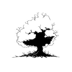Monochrome oak tree illustration standing tall artwork on a white background representing strength resilience nature beauty black and white