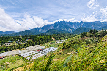 Scenic view of vegetable farms and greenhouses in Kundasang highlands with majestic Mount Kinabalu in the background, Sabah, Malaysia. A popular destination for eco-tourism and agriculture in Borneo.