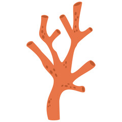 Illustration of Coral in Orange in flat style