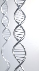 DNA double helix structures