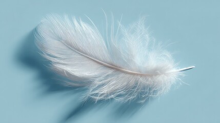 Fototapeta premium An intricate close-up of pristine white bird feathers arranged in an elegant pattern.