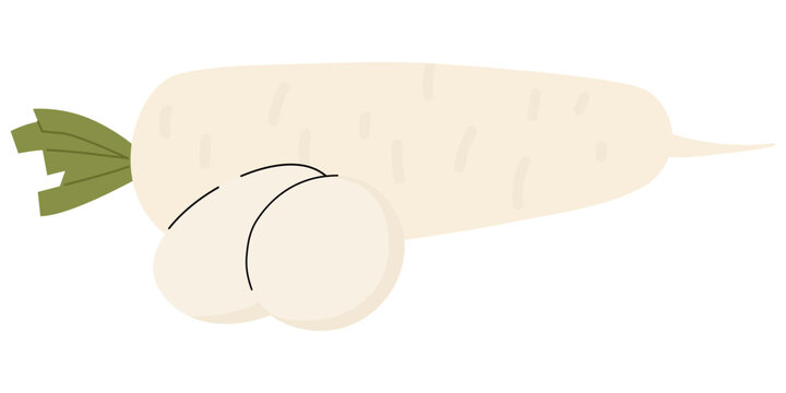 white daikon radish with slices, flat design clip art preview