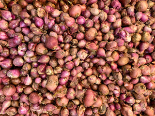 Freshly harvested tropical red onions displayed in the market