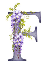 Elegant Floral Letter F Illustration, Wisteria Design png, isolated on transparent background