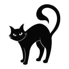a black cat is standing on its hind legs.