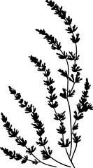 Lavender flower silhouette corner border decoration