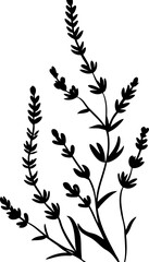 Lavender flower silhouette corner border decoration