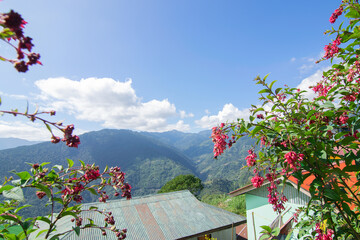 Blue Kanchenjunga mountain range in the morning, tree with red seasonal flowers in foreground, view from Okhrey Village, Sikkim. Scenic view of great Himalaya, India.