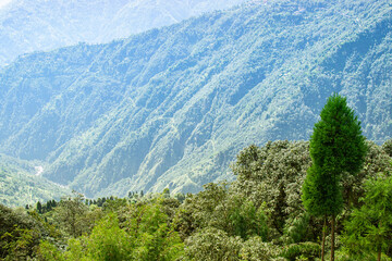 Scenic beauty of Green forests of Himalayan mountains, Okhrey, sikkim, India. Okhrey village is remote place in Sikkim where peaceful, tranquil Himalayan mountain range is enjoyed by tourists.