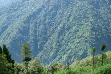 Scenic beauty of Green forests of Himalayan mountains, Okhrey, sikkim, India. Okhrey village is remote place in Sikkim where peaceful, tranquil Himalayan mountain range is enjoyed by tourists.