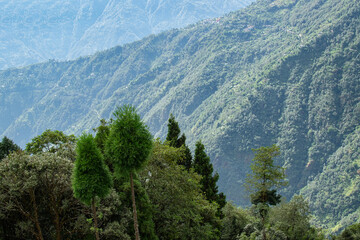 Scenic beauty of Green forests of Himalayan mountains, Okhrey, sikkim, India. Okhrey village is remote place in Sikkim where peaceful, tranquil Himalayan mountain range is enjoyed by tourists.