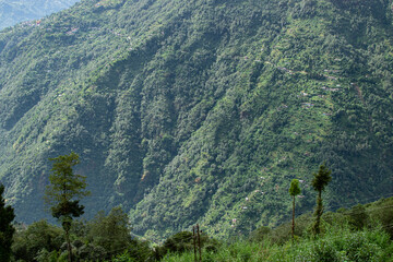 Scenic beauty of Green forests of Himalayan mountains, Okhrey, sikkim, India. Okhrey village is remote place in Sikkim where peaceful, tranquil Himalayan mountain range is enjoyed by tourists.