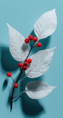Winter Berries and White Leaves on Blue Background