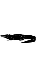 Naklejka premium A full body silhouette of an alligator with a long tail and short legs on a white background