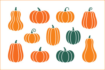 Pumpkin variety set, different shapes and colors, autumn harvest pumpkin collection, vector illustration, Halloween design