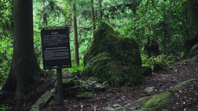 Sacred Kesa-kake-ishi Rock near the 55th Choishi Marker on the Pilgrimage Path to Koyasan 世界遺産 高野参詣道 町石道 55町石 「袈裟掛石(鞍掛石・くぐり石)」和歌山県高野町