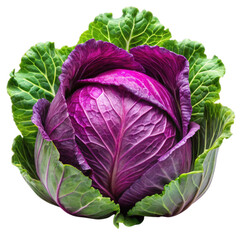 Obraz premium Fresh Red Cabbage Isolated on White Background