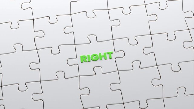 3D Animation of Right Wrong Puzzle | Alpha Channel