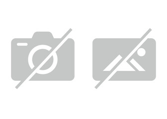 Image Not Found Icon. Do not use camera. stock illustration