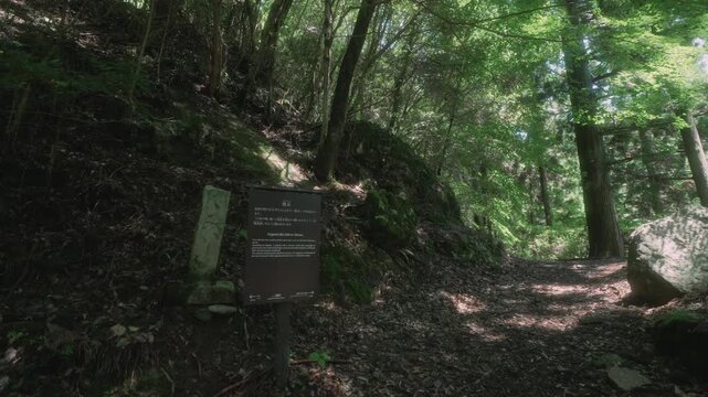 Kagami-ishi Rock between the 27th and 28th Choishi Markers on the Pilgrimage Path to Koyasan (Choishimichi), Koya Town, Wakayama, Japan　世界遺産 高野参詣道 町石道「27町石と28町石の区間にある鏡石」和歌山県高野町