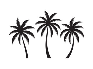 Three palm tree silhouettes vector isolated on white background.