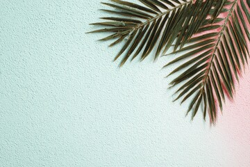 Pastel-toned backdrop with tropical palm fronds