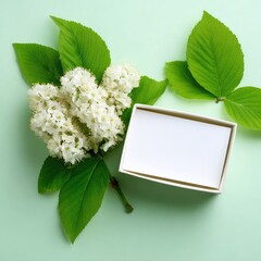 Blank box with spring flowers