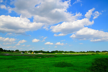 青空と芝生の緑