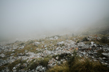 Misty Hiking in Milford Track, Fiordland National Park, New Zealand	