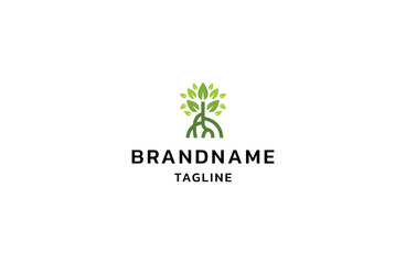 Mangrove tree logo design vector