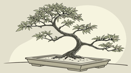 Explore bonsai tree art drawing illustration of japanese zen garden plant for relaxation and mindfulness art