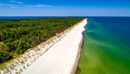 Coastal beach scene with forest and blue sky