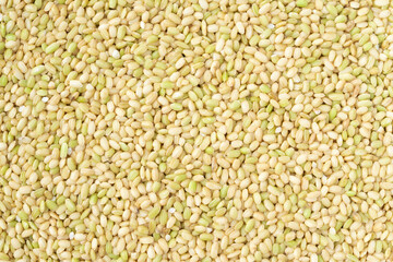 緑米のクローズアップ