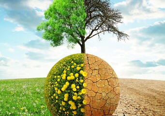 A tree split between life and death with a field of flowers and a cracked desert landscape below it