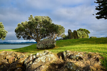 Beautiful morning at Whangarei warf in New Zealand.