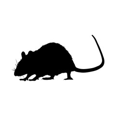 rat Silhouette Illustration isolated on transparent background 