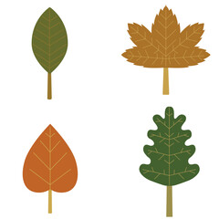 Leafs autumn Vector illustration