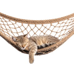 A tabby cat sleeps peacefully in a hammock