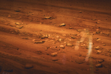 Oparara River in Kahurangi National Park, New Zealand