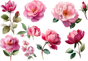 seamless pattern with pink tulips