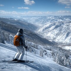 A skier stands on a snowy slope, overlooking a vast mountain range under a clear sky, surrounded by snow-covered trees.