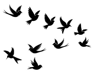 Fototapeta premium Many birds flying together in the sky, silhouette vector file.
