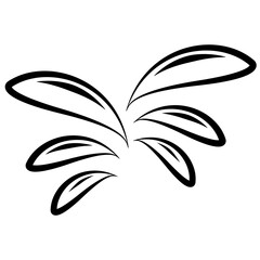 Water Splash Illustration