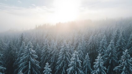 Snow-Covered Pine Forest at Dawn with Misty Atmosphere