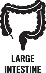 Large Intestine Icon with Label in Bold Text
