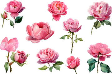 seamless pattern with pink roses