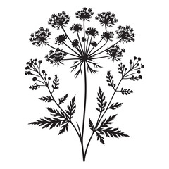 Delicate Botanical Illustration of Cow Parsley Silhouette for Decor